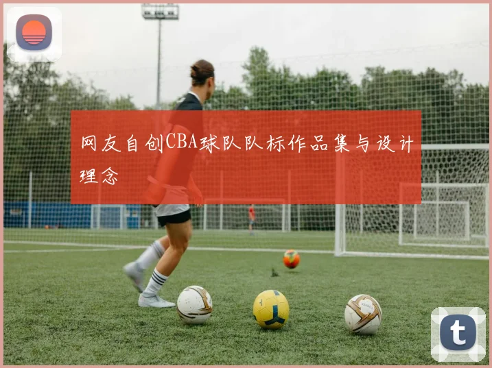 网友自创CBA球队队标作品集与设计理念