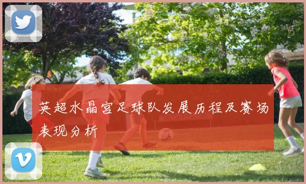 英超水晶宫足球队发展历程及赛场表现分析