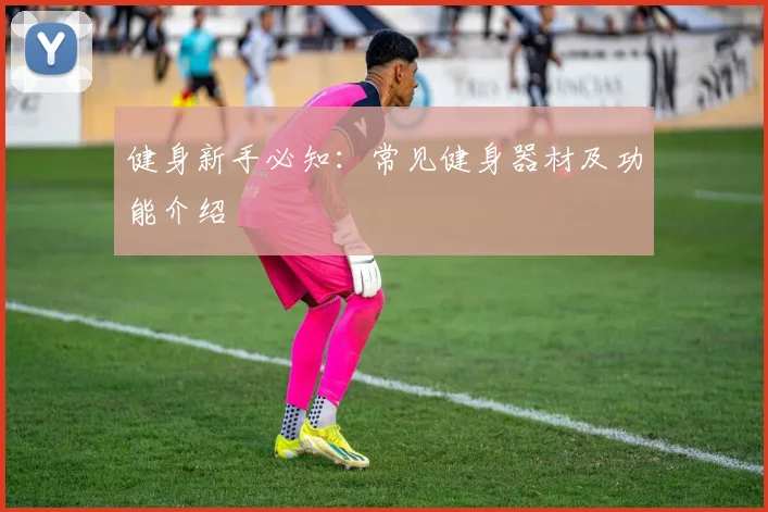 健身新手必知:常见健身器材及功能介绍